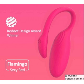 Sexshop gay | Precio de Vibrador Vaginal Magic Flamingo App | Placer a tu Ritmo | Envío CDMX, Jalisco, Nuevo León y toda CDMX
