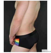 Sex shop virtual | Compra Traje de Baño Pride Chico | Sex Toys que resbalan riquísimo | Envíos a Cuernavaca, Morelos