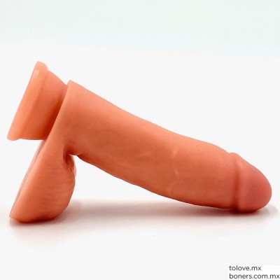 Sexshop online | Compra Dildo Realista con Testículos 17 cm | Productos para Insaciables | Envío Tabasco, Campeche y Veracruz