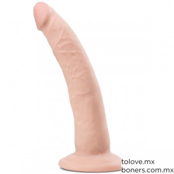 Sexshop Gay en Línea | Dildo Realista con Ventosa | Compra Segura y Discreta